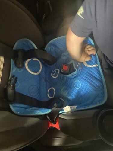 Piddle Pad 2-Pack Car Seat Protector photo review